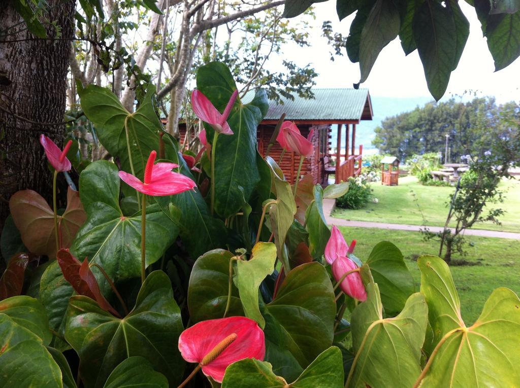 Grandpas Hotel & Restaurante Cartago Luaran gambar